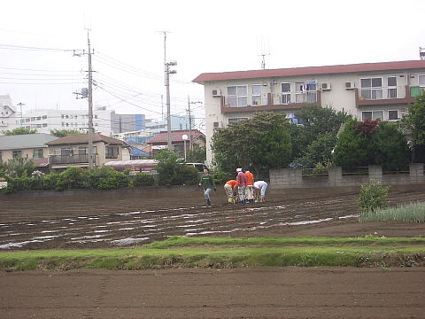 conv0048.jpg