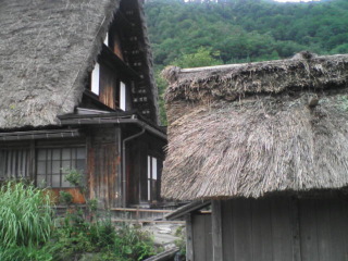 D1000020.jpg